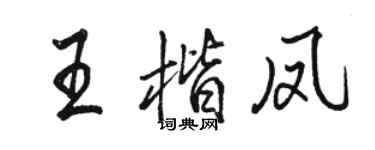 駱恆光王楷鳳行書個性簽名怎么寫