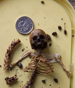 考古發現_探索發現_歷史考古