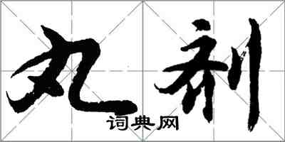 胡問遂丸劑行書怎么寫