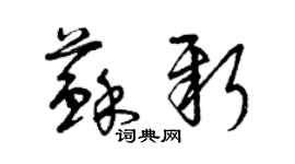 曾慶福蘇新草書個性簽名怎么寫