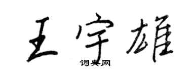 王正良王宇雄行書個性簽名怎么寫