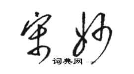 駱恆光宋妙草書個性簽名怎么寫