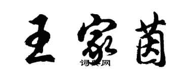 胡問遂王家茵行書個性簽名怎么寫