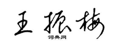 梁錦英王振梅草書個性簽名怎么寫