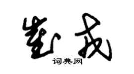 朱錫榮崔戎草書個性簽名怎么寫