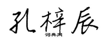 王正良孔梓辰行書個性簽名怎么寫