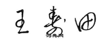 駱恆光王壽田草書個性簽名怎么寫