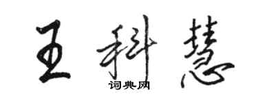 駱恆光王科慧行書個性簽名怎么寫