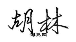 駱恆光胡林行書個性簽名怎么寫