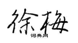 王正良徐梅行書個性簽名怎么寫