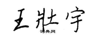 王正良王壯宇行書個性簽名怎么寫