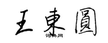 王正良王東圓行書個性簽名怎么寫