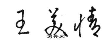 駱恆光王美情草書個性簽名怎么寫