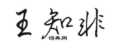 駱恆光王知非行書個性簽名怎么寫