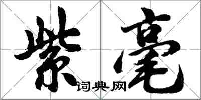 胡問遂紫毫行書怎么寫