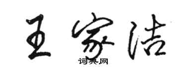 駱恆光王家潔行書個性簽名怎么寫