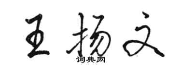 駱恆光王揚文行書個性簽名怎么寫