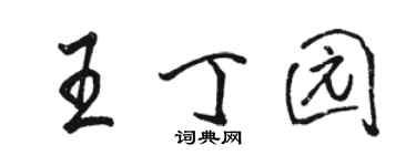 駱恆光王丁園行書個性簽名怎么寫