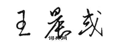 駱恆光王晨或草書個性簽名怎么寫