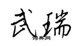 王正良武瑞行書個性簽名怎么寫