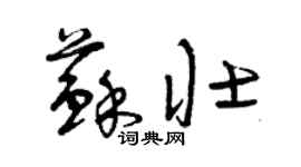 曾慶福蘇壯草書個性簽名怎么寫
