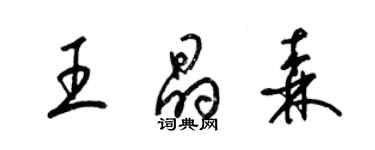 梁錦英王晶森草書個性簽名怎么寫