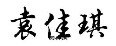 胡問遂袁佳琪行書個性簽名怎么寫
