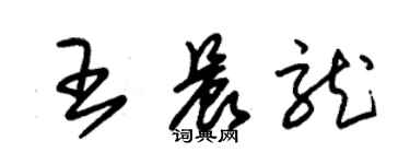 朱錫榮王晨龍草書個性簽名怎么寫