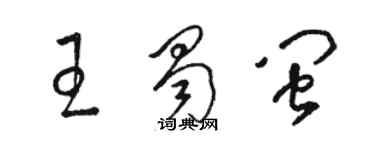 駱恆光王蜀閩草書個性簽名怎么寫