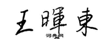 王正良王暉東行書個性簽名怎么寫