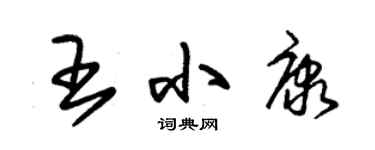 朱錫榮王小康草書個性簽名怎么寫