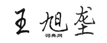 駱恆光王旭壟行書個性簽名怎么寫