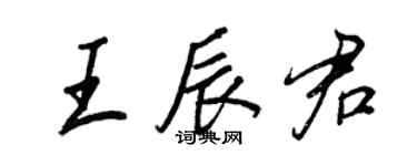 王正良王辰君行書個性簽名怎么寫