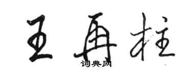 駱恆光王再柱行書個性簽名怎么寫