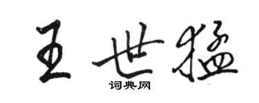 駱恆光王世猛行書個性簽名怎么寫