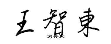 王正良王智東行書個性簽名怎么寫