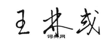 駱恆光王林或草書個性簽名怎么寫