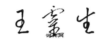 駱恆光王靈生草書個性簽名怎么寫