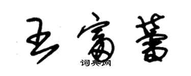 朱錫榮王富蕾草書個性簽名怎么寫