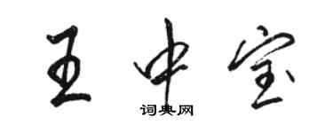 駱恆光王中寶行書個性簽名怎么寫