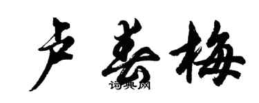 胡問遂盧春梅行書個性簽名怎么寫