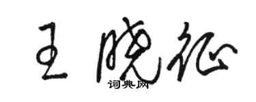 駱恆光王曉征草書個性簽名怎么寫