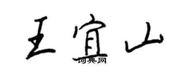 王正良王宜山行書個性簽名怎么寫