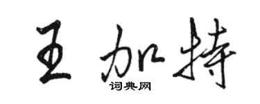 駱恆光王加特行書個性簽名怎么寫