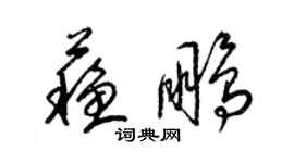 梁錦英蘇鵬草書個性簽名怎么寫