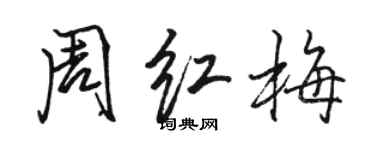 駱恆光周紅梅行書個性簽名怎么寫