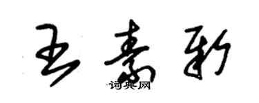 朱錫榮王素新草書個性簽名怎么寫