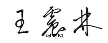 駱恆光王震林草書個性簽名怎么寫