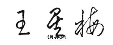 駱恆光王星梅草書個性簽名怎么寫