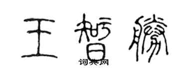 陳聲遠王智勝篆書個性簽名怎么寫